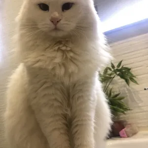 G1992's profile photo