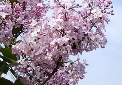 LuaRodriguez's profile photo