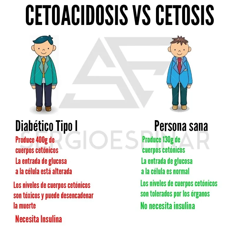 {'en': 'About ketoacidosis', 'es': 'Sobre la cetoacidosis'} Image