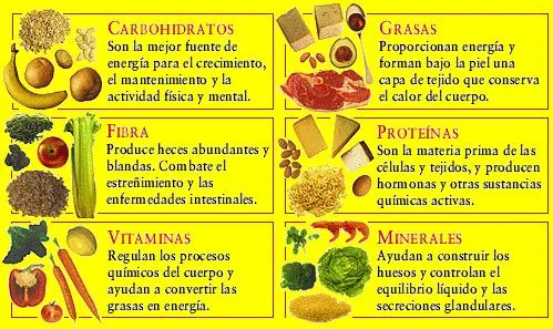 {'en': 'Diabetes and carbohydrates', 'es': 'La diabetes y los carbohidratos'} Image