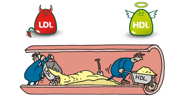 {'en': 'Improve LDL (cholesterol)', 'es': 'Mejorar LDL (Colesterol)'} Image