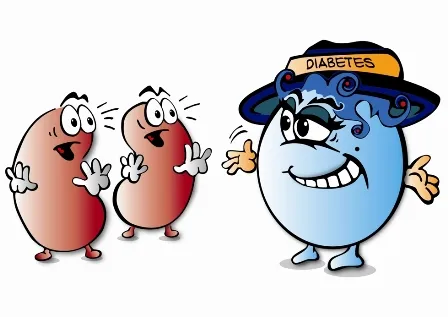 {'en': 'Diabetes and kidney', 'es': 'La diabetes y el riñón'} Image