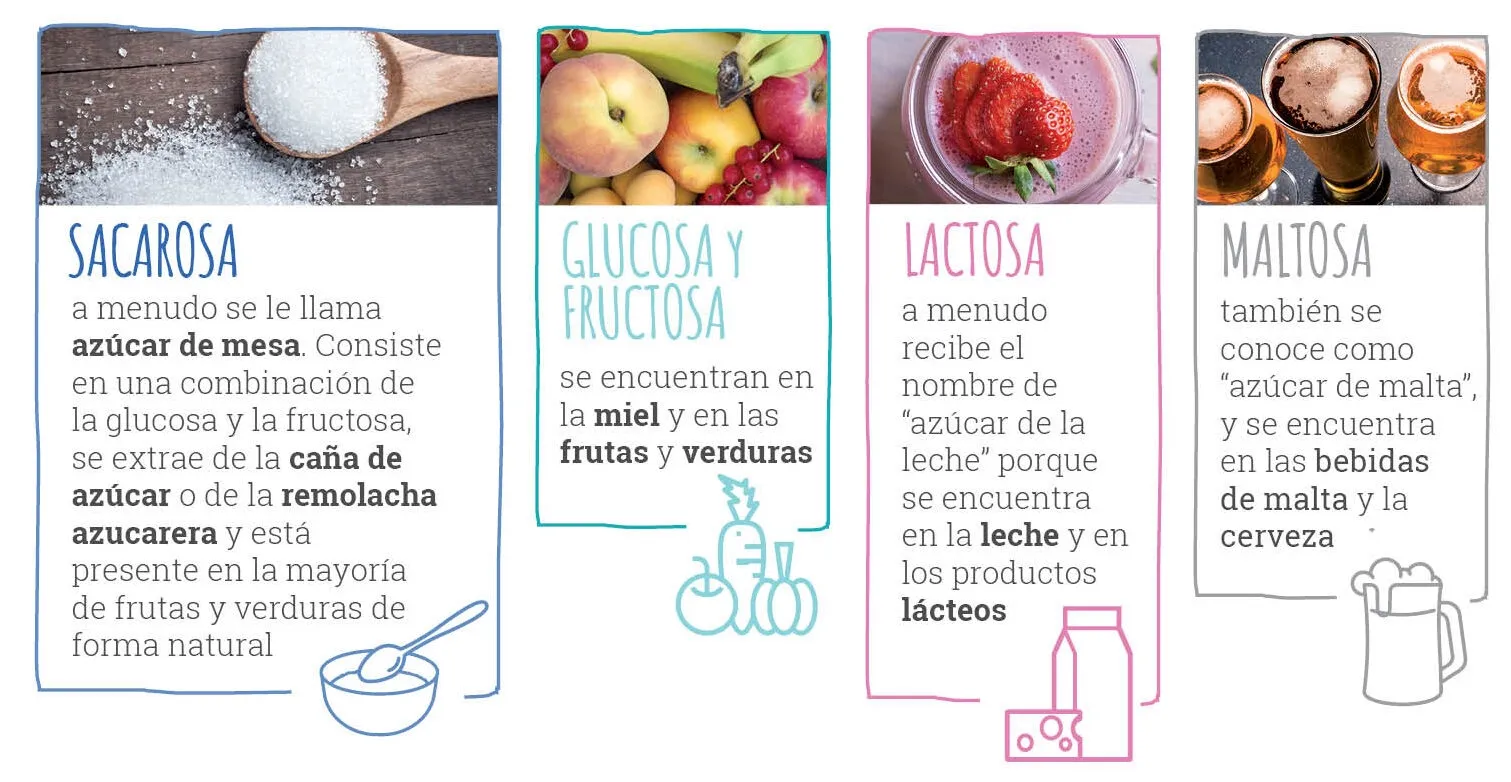 {'en': 'Fructose and sucrose.', 'es': 'Fructosa y sacarosa.'} Image