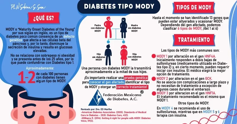 {'en': 'Diabetes Mody', 'es': 'Diabetes Mody'} Image