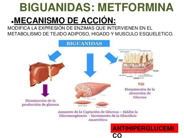 {'en': 'Metformin and side effects', 'es': 'Metformina y efectos secundarios'} Image