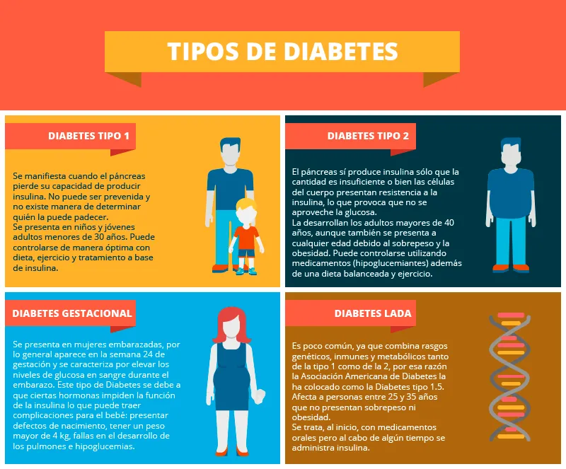 {'en': 'Diabetes - Types of Diabetes', 'es': 'Diabetes - Tipos de diabetes'} Image