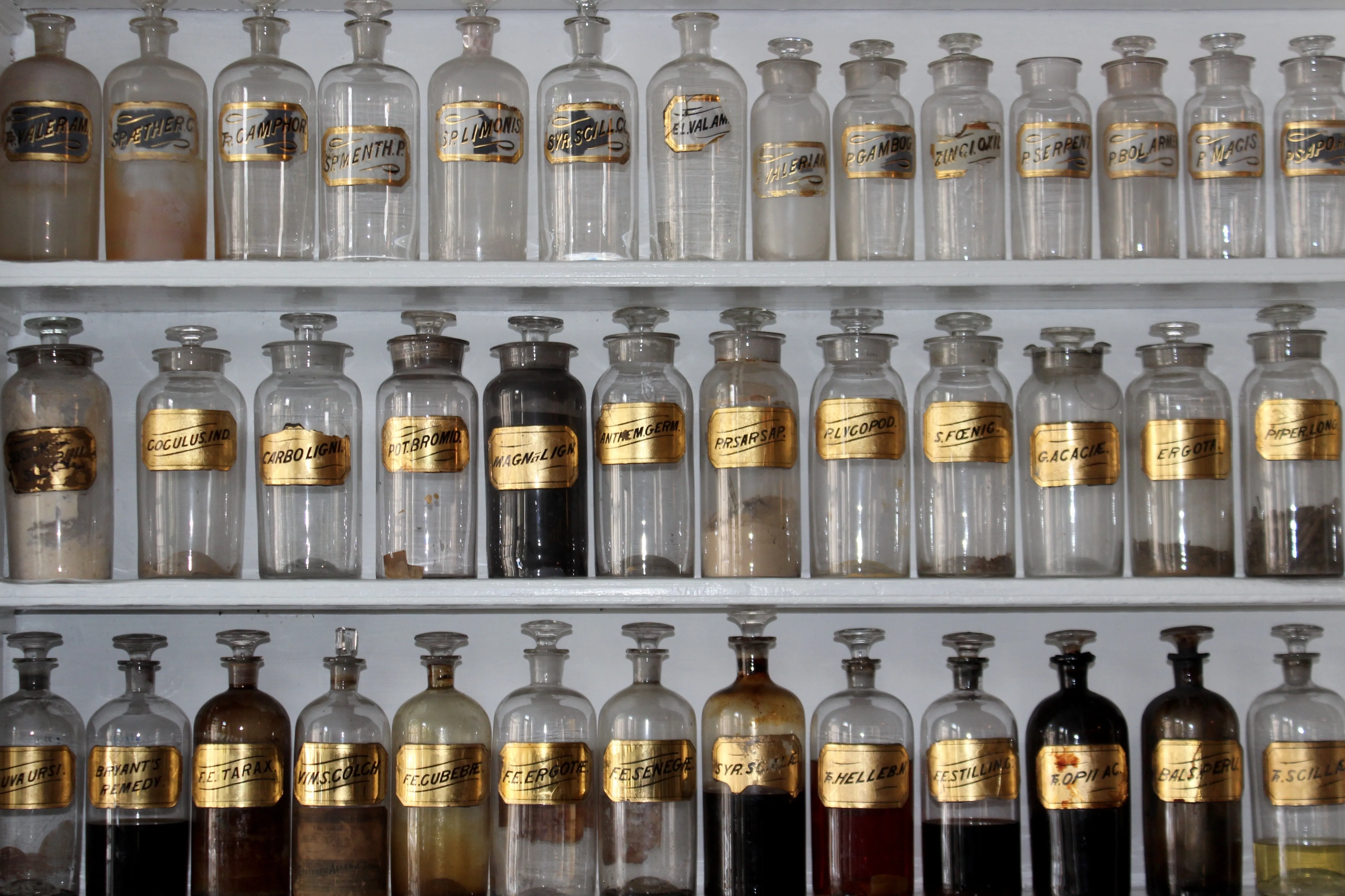 {'en': 'Insulins and excipients', 'es': 'Insulinas y excipientes'} Image