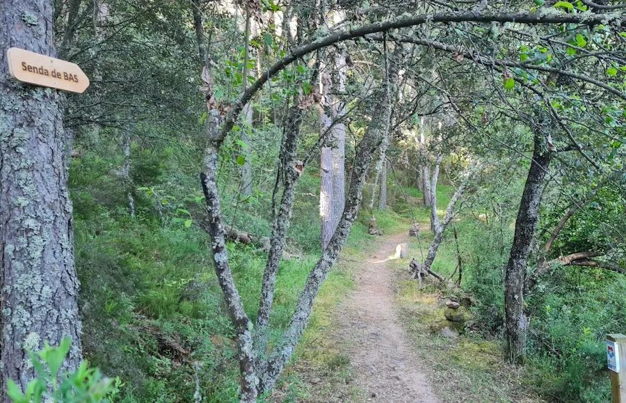 {'en': 'Path to change Diabetes 2026', 'es': 'Camino para cambiar la Diabetes 2026'} Image