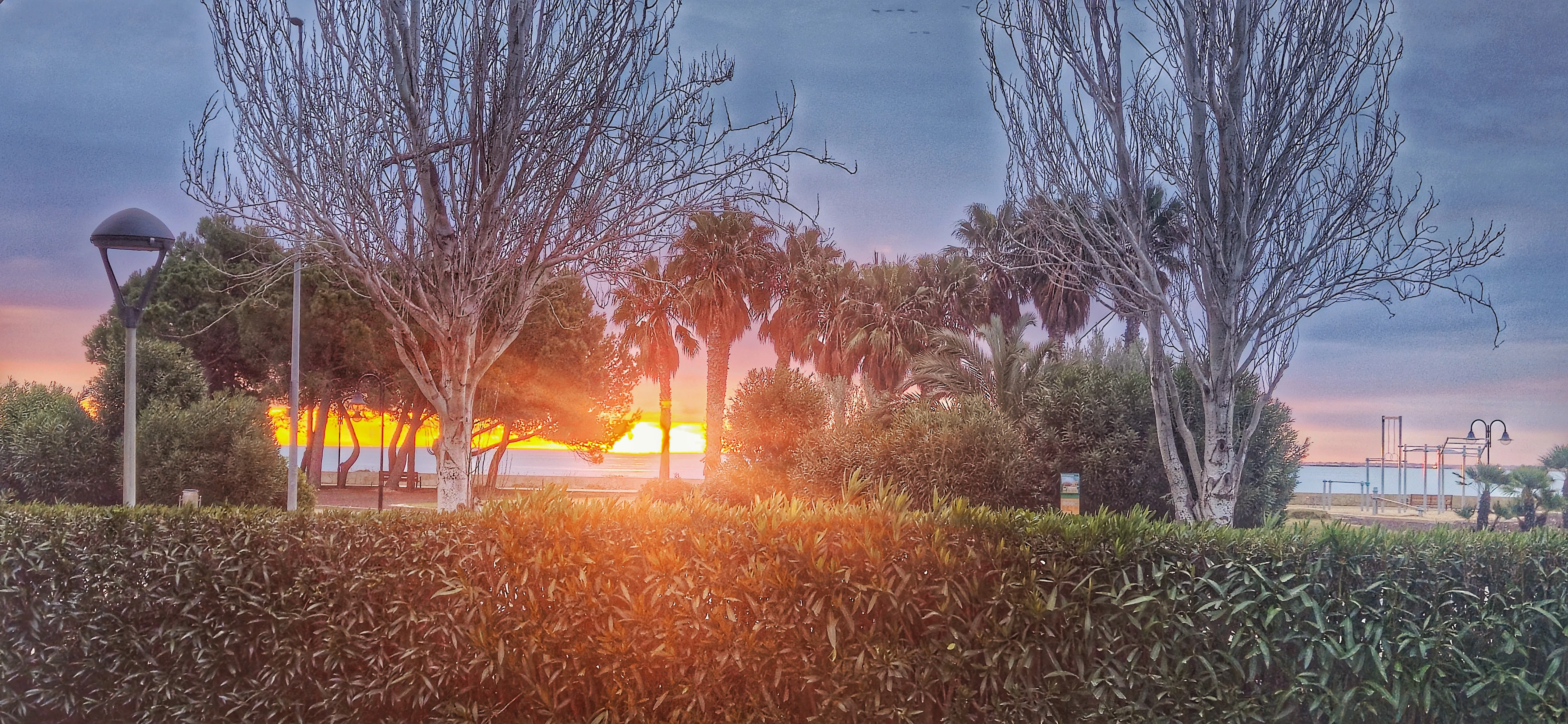 {'en': '[[NO-TRANS]]No elegí la diabetes', 'es': 'No elegí la diabetes'} Image