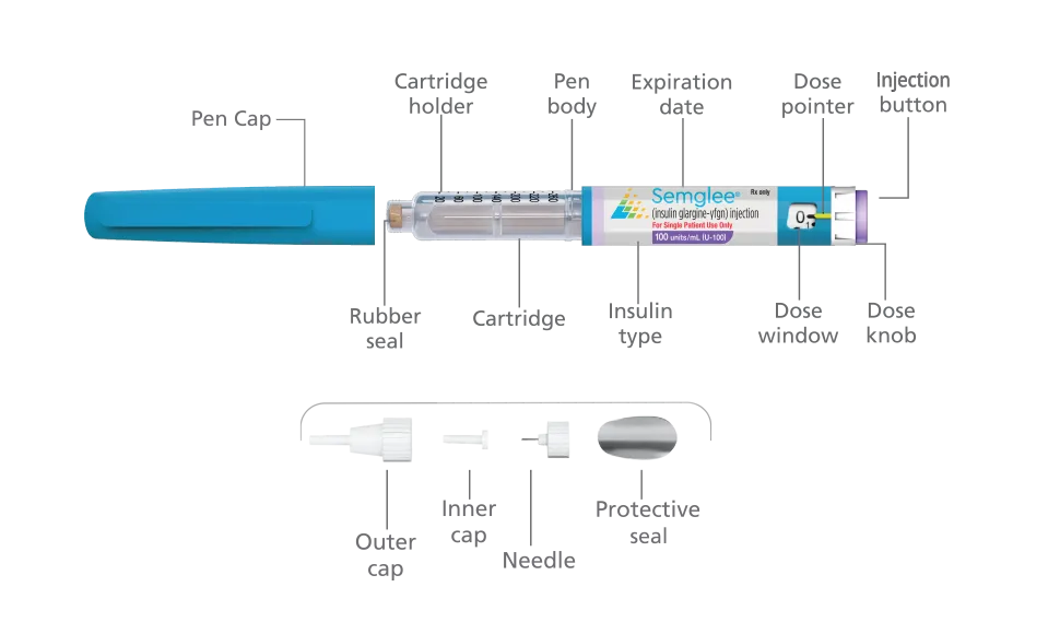 {'en': 'Adapting to life with diabetes and semi -insulin', 'es': 'Adaptándome a la vida con diabetes y la insulina Semglee'} Image