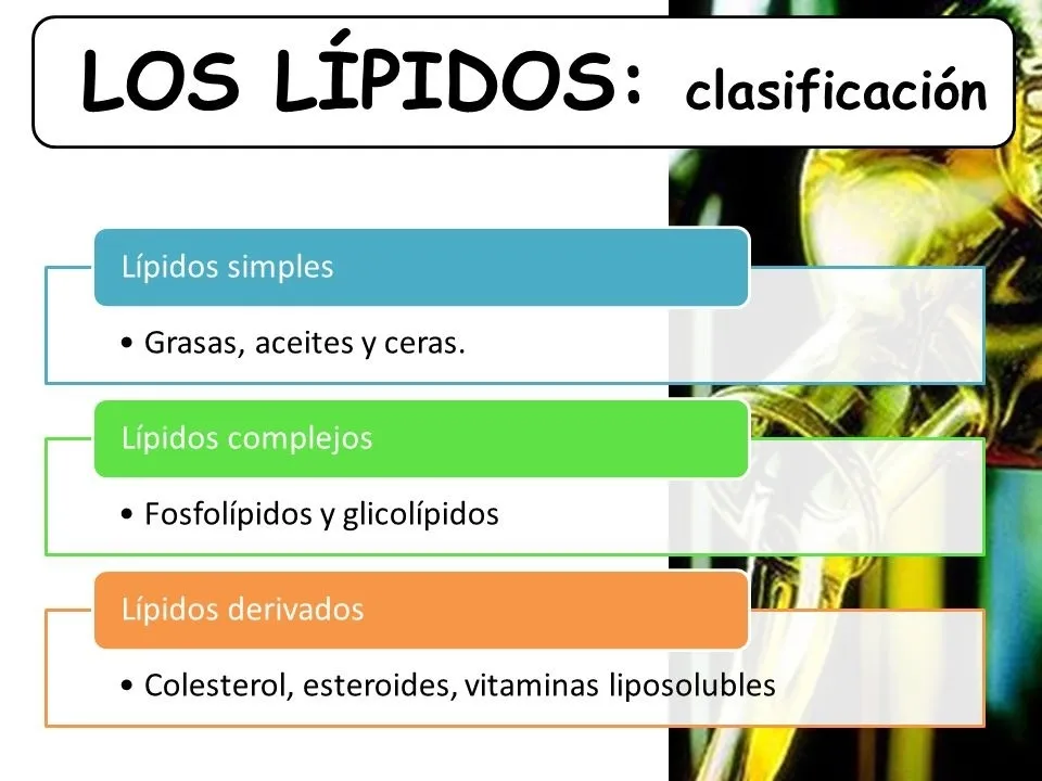 {'en': 'A type of lipid can help treat diabetes', 'es': 'Un tipo de lípido puede ayudar a tratar la diabetes'} Image