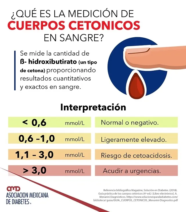 {'en': 'Blood ketone bodies', 'es': 'Cuerpos Cetónicos en sangre'} Image