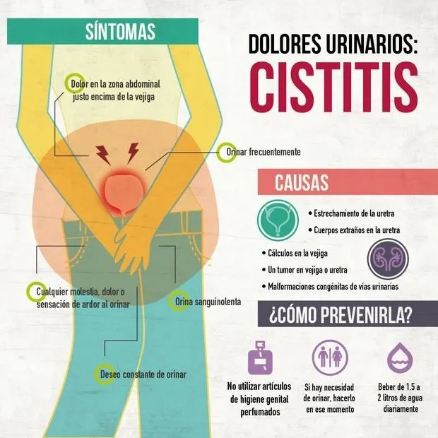 {'en': 'Display why diabetes increases the risk of urinary infections (cystitis)', 'es': 'Descubierto el porqué la diabetes aumenta el riesgo de infecciones urinarias (cistitis)'} Image