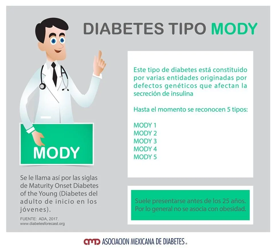 {'en': 'Diabetes Modly 12', 'es': 'Diabetes mody 12'} Image