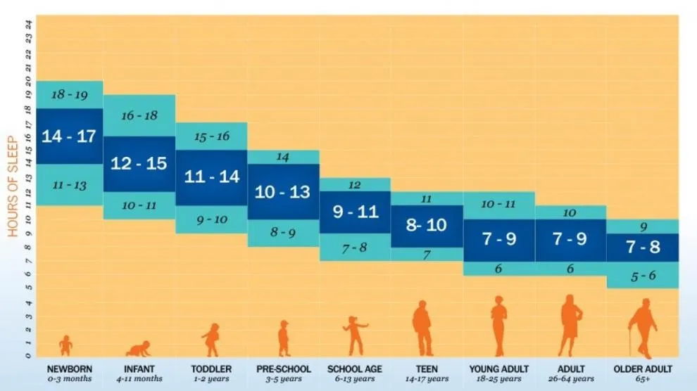 {'en': 'I just can sleep from 2 to 3 hours a day ... how does diabetes affect?', 'es': 'Sólo consigo dormir de 2 a 3 horas diarias... ¿como afecta a la diabetes?'} Image