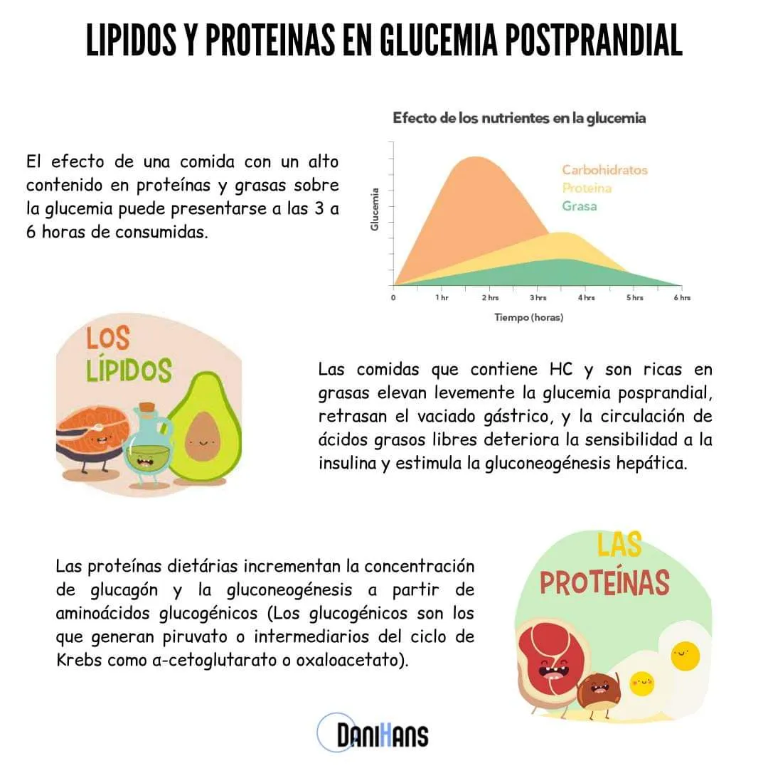 {'en': 'Lipids and proteins, as affects glucose levels.', 'es': 'Lípidos y proteinas , como afecta a los niveles de glucosa.'} Image