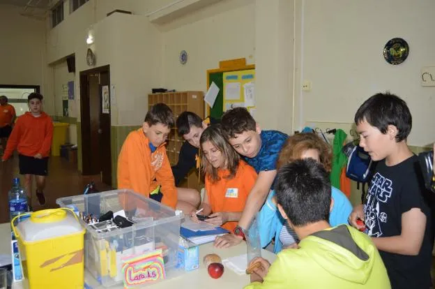 {'en': '44 children participate in a type 1 diabetes camp', 'es': '44 niños participan en un campamento de diabetes tipo 1'} Image