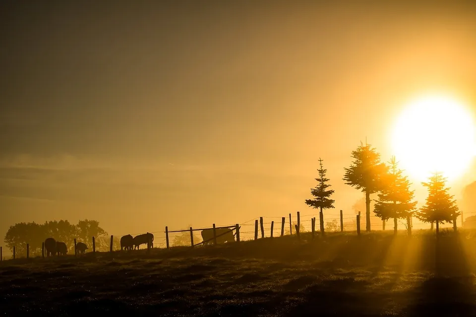 {'en': 'Decontrol in the morning', 'es': 'Descontrol en la mañana'} Image