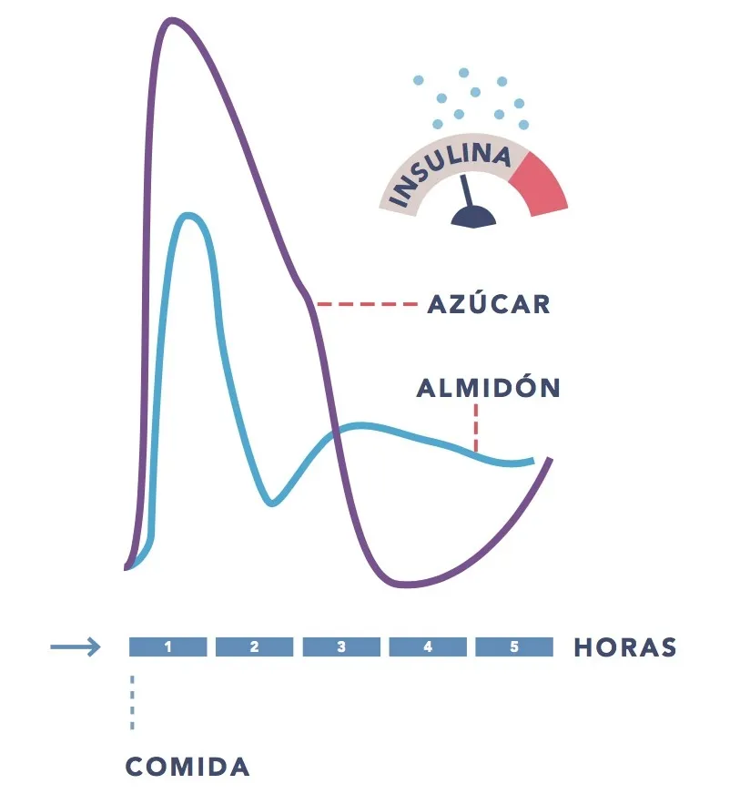 {'en': 'Avoid peaks at meals', 'es': 'Evitar picos en las comidas'} Image