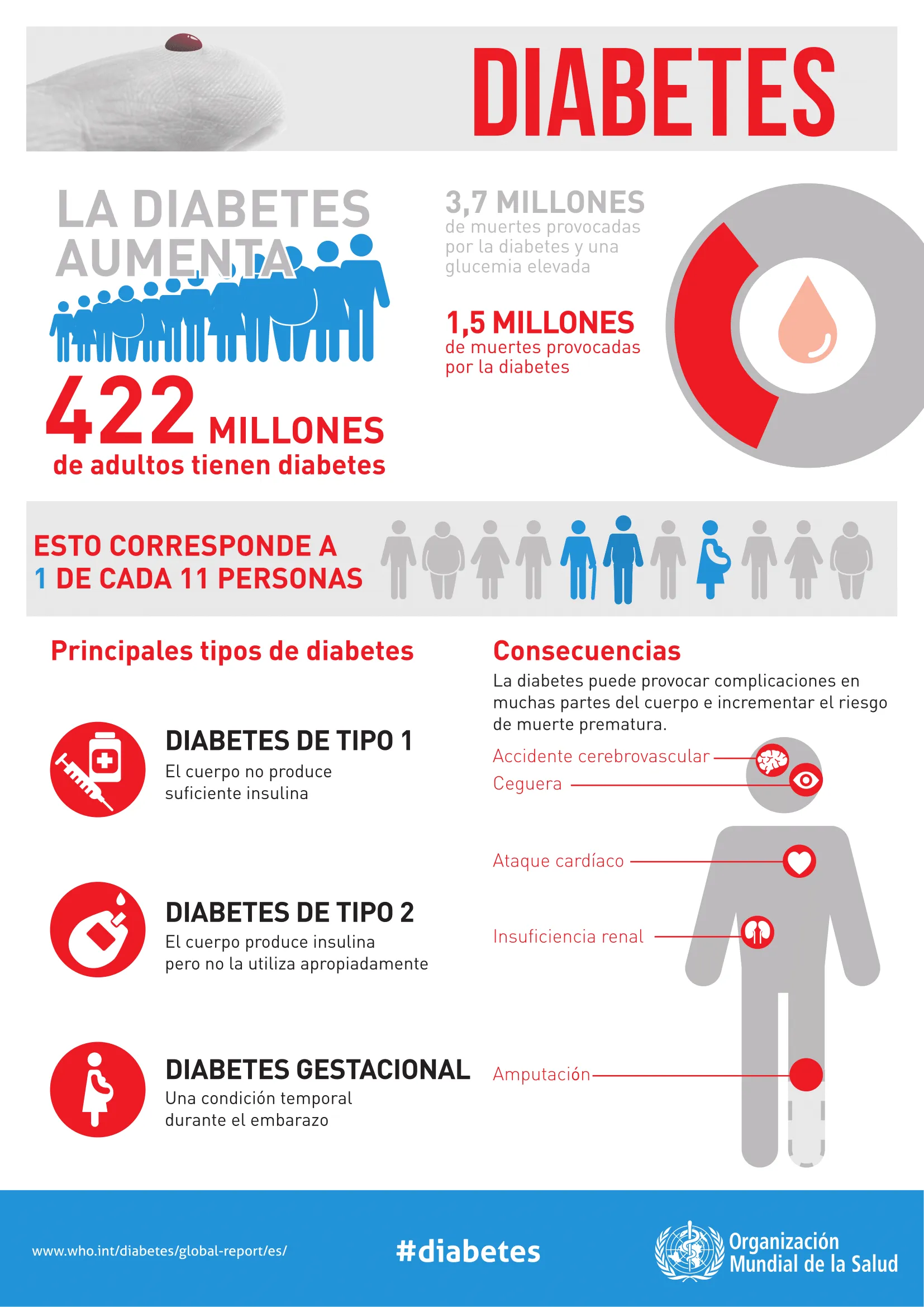 {'en': 'How many type 1 diabetics are in the world?', 'es': '¿Cuántos diabéticos Tipo 1 hay en el mundo?'} Image