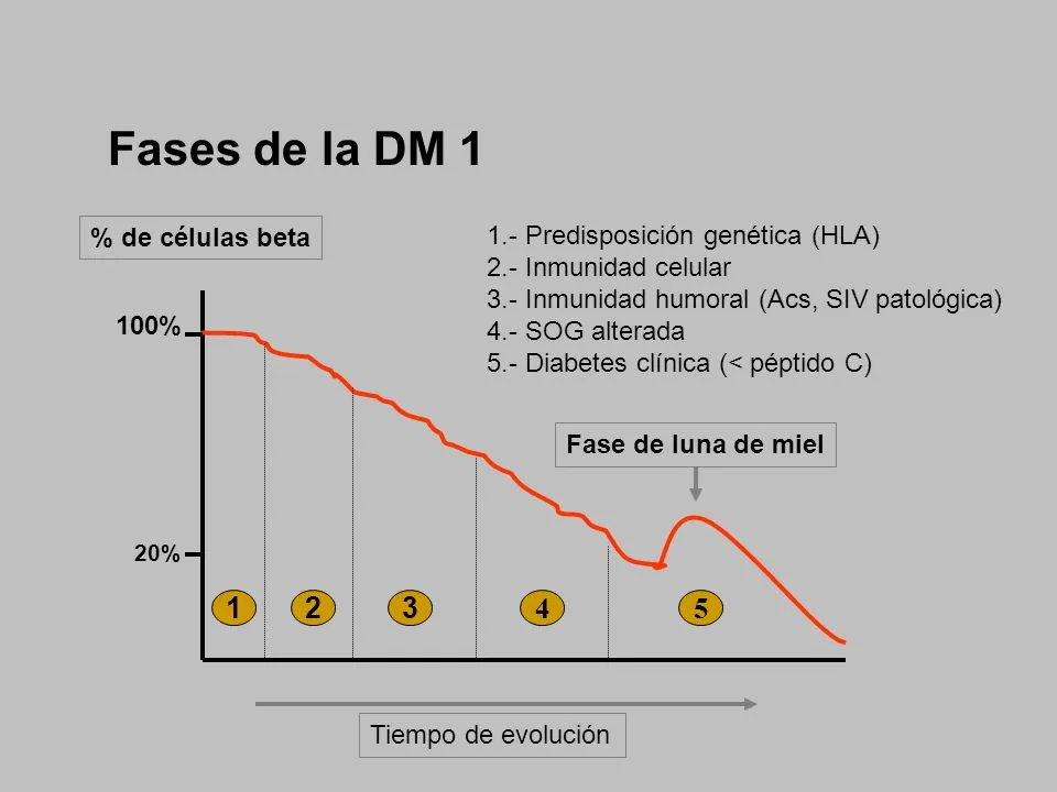 {'en': 'Made a mess, honeymoon, is it necessary to put insulin?', 'es': 'Hecha un lio, Luna de Miel, hace falta poner insulina??'} Image