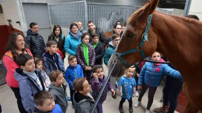 {'en': 'Children with Diabetes de Galicia enjoy a equestrian day in Ponte Caldelas', 'es': 'Niños con diabetes de Galicia disfrutan de una jornada hípica en Ponte Caldelas'} Image