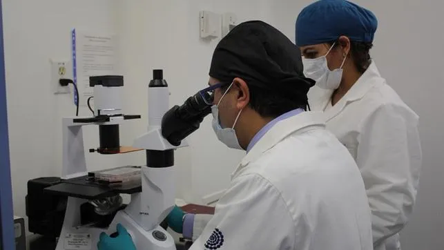 {'en': "Mexican researchers are looking for better diabetes and parkinson's urine", 'es': 'Investigadores Mexicanos buscan en la orina mejores tratamientos para diabetes y Parkinson'} Image