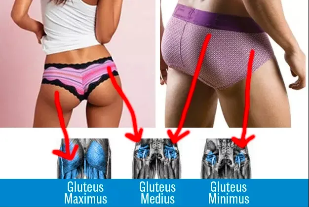 {'en': 'How is a sensor placed in the buttock?', 'es': 'Cómo se coloca un sensor en el glúteo?'} Image