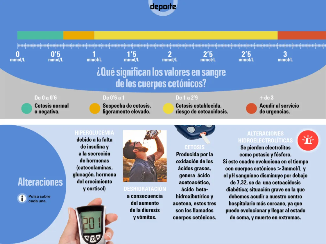 {'en': 'Ketone bodies, why do they occur?', 'es': 'Cuerpos Cetónicos, ¿porque se producen?'} Image