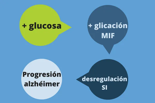 {'en': "Why excess sugar raises your risk of developing Alzheimer's", 'es': 'Por qué el exceso de azúcar eleva tu riesgo de desarrollar alzhéimer'} Image