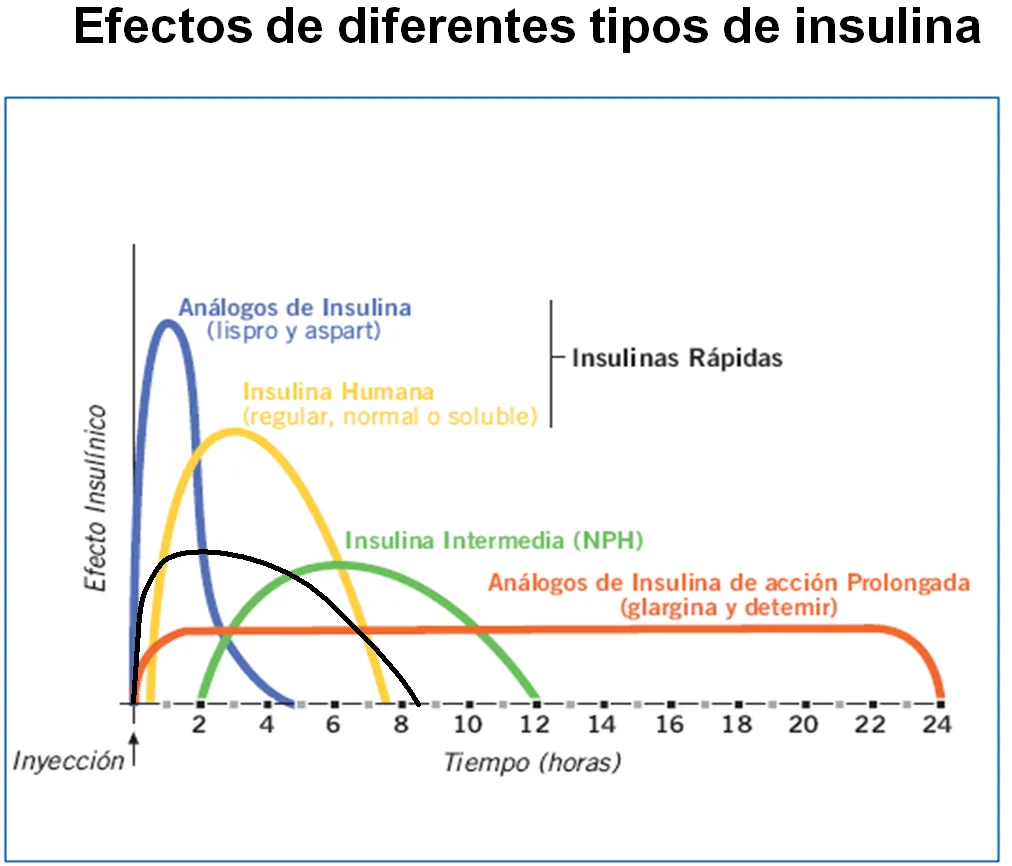 {'en': 'The basics about insulin', 'es': 'Lo básico sobre la insulina'} Image