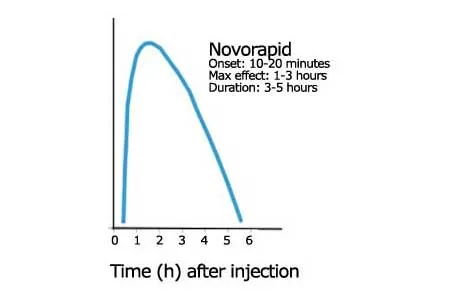 {'en': 'Novorapid Action and Slow Digestion', 'es': 'Acción de novorapid y absorciones-digestiones lentas'} Image