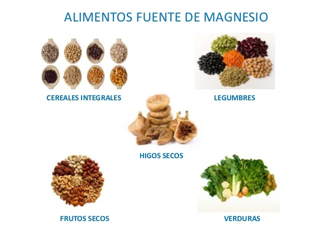 {'en': 'Diets rich in magnesium could prevent type 2 diabetes', 'es': 'Dietas ricas en magnesio podrían prevenir diabetes tipo 2'} Image