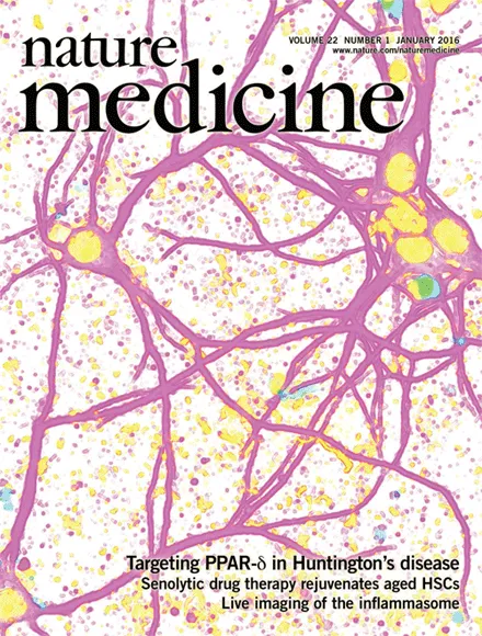 {'en': 'Scientists manage to interrupt type 1 diabetes (study)', 'es': 'Científicos logran interrumpir la diabetes tipo 1 (Estudio)'} Image