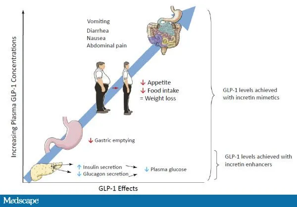 {'en': 'LPG-1 analogues in type 2 diabetes decrease future complications', 'es': 'Análogos de GLP-1 en diabetes tipo 2 disminuyen futuras complicaciones'} Image