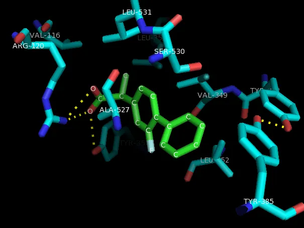 {'en': 'CSIC and UAM reduce insulin resistance (study)', 'es': 'El CSIC y UAM reducen resistencia a la insulina (Estudio)'} Image