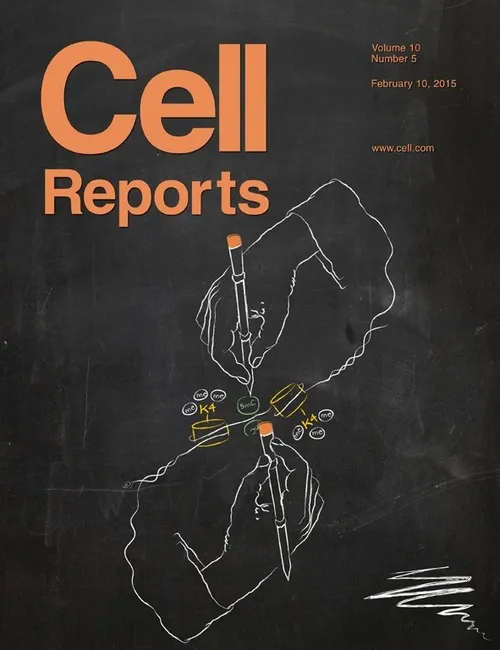 {'en': 'The alteration of neurons develop type 2 diabetes', 'es': 'La alteración de unas neuronas desarrolla diabetes tipo 2'} Image